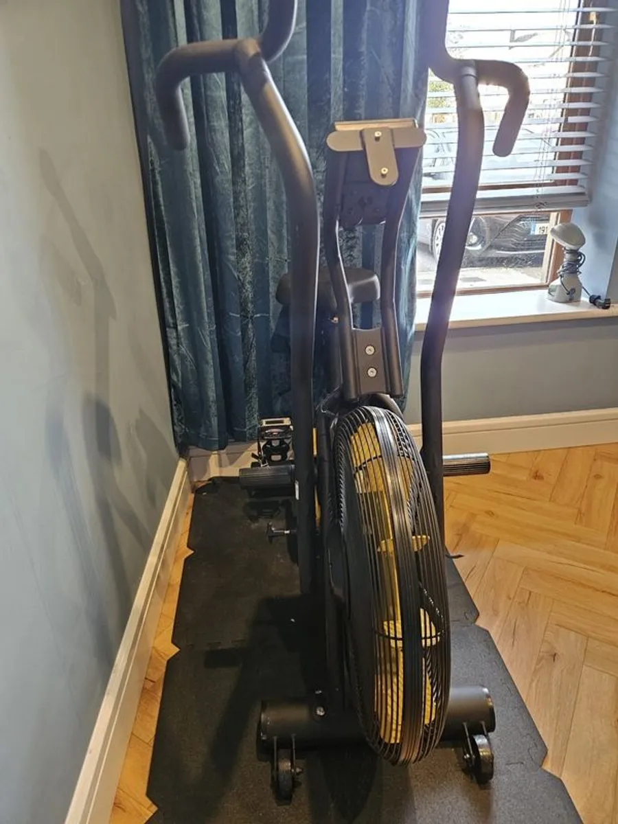 Air Bike - Image 1