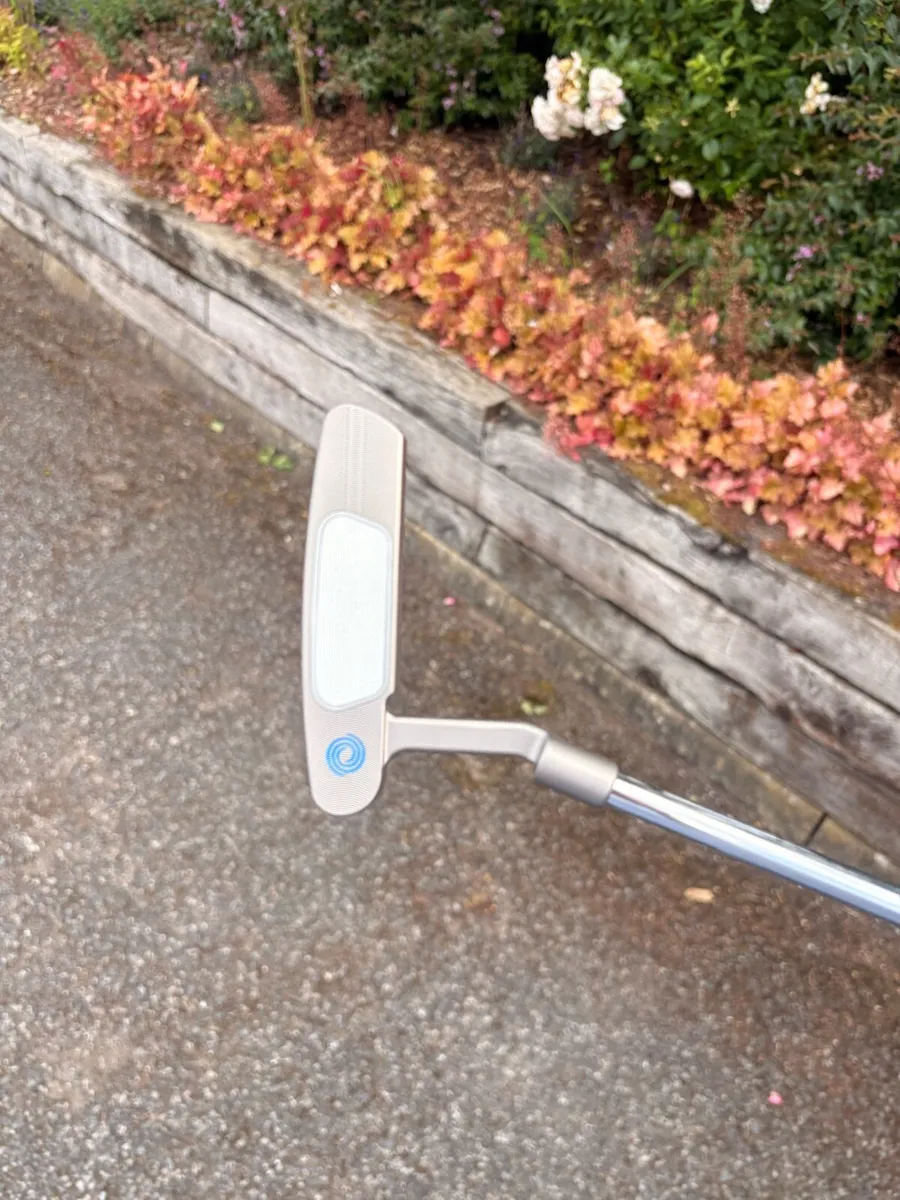 Odyssey Ai One Silver 1 CH - Image 2