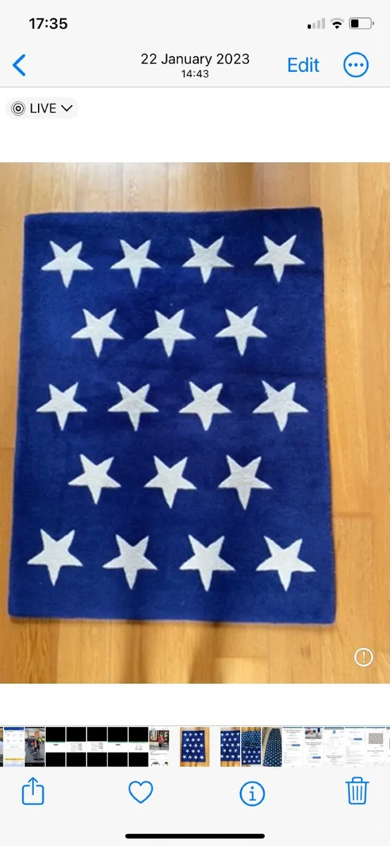 Boys curtains and boys rug - Image 1
