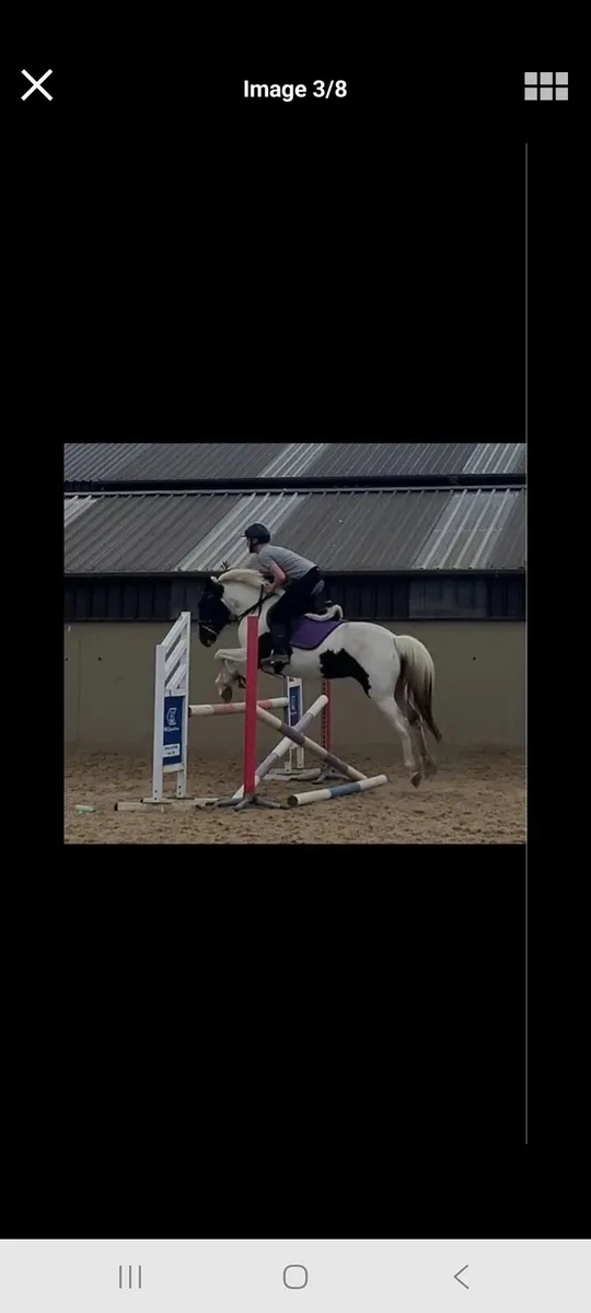 15hh alrounder 🌟🌟 - Image 1