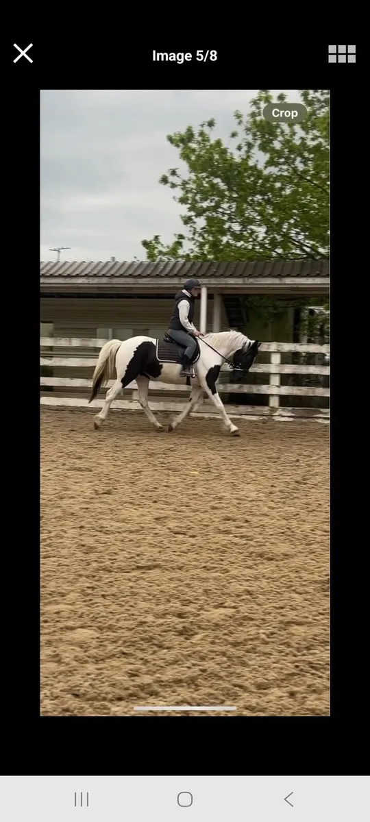 15hh alrounder 🌟🌟 - Image 3
