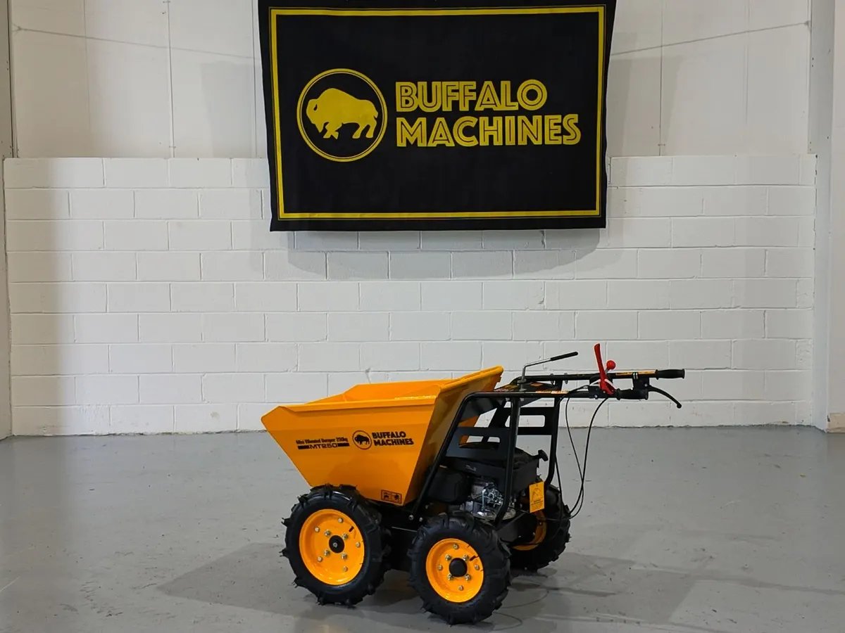 Buffalo Machines MT250 Dumper - Image 3