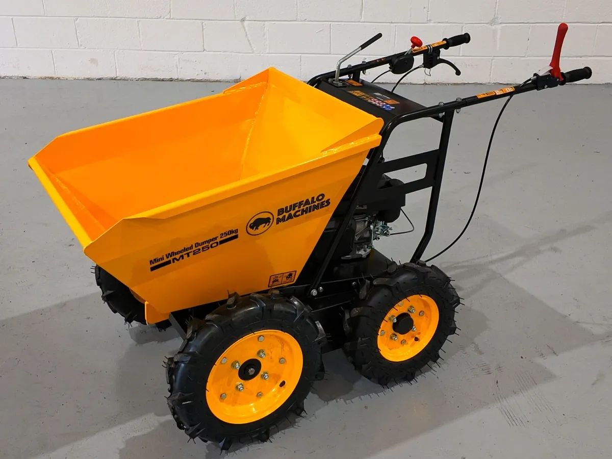 Buffalo Machines MT250 Dumper - Image 4