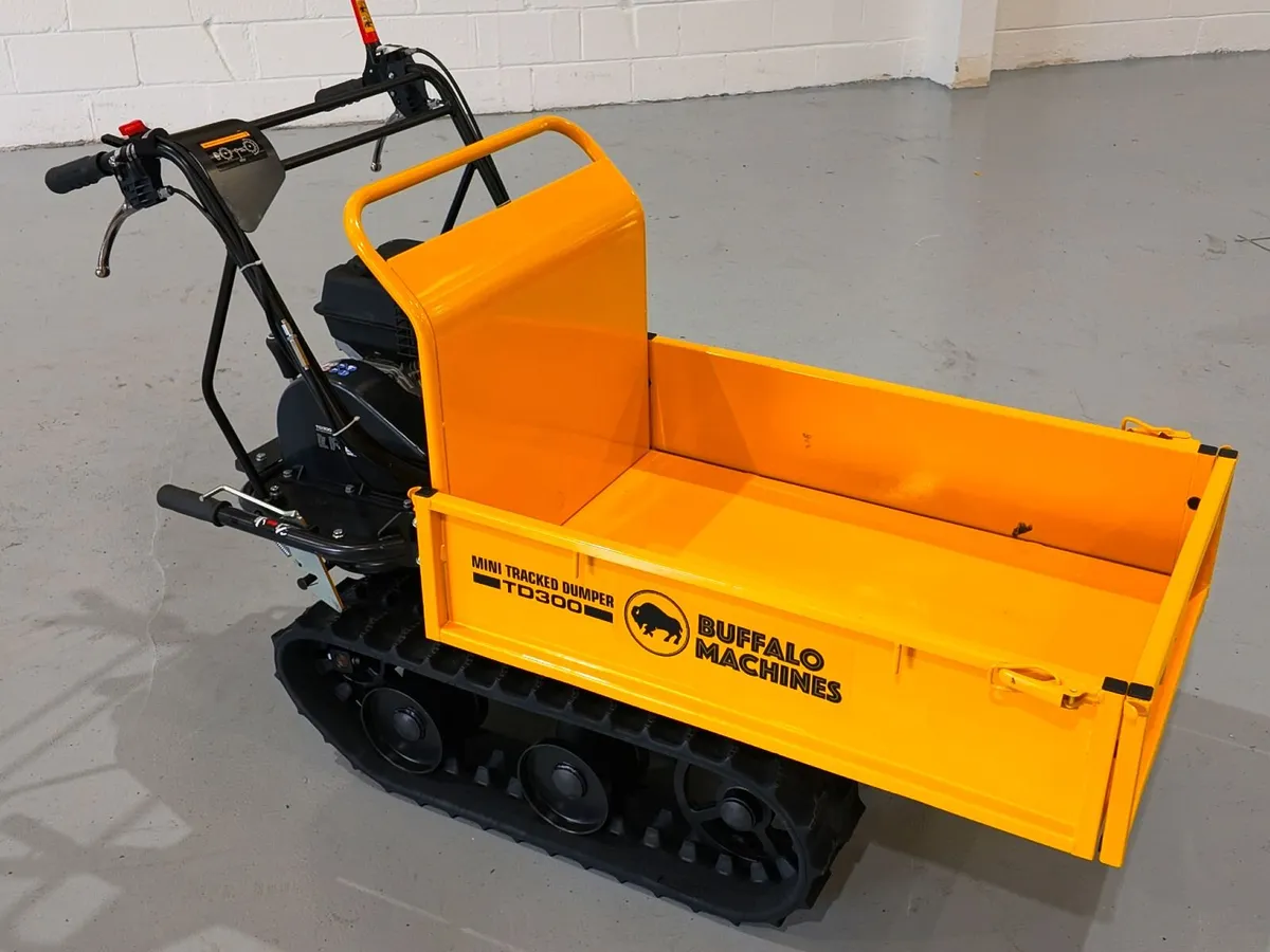 Buffalo Machines TD300 Tracked Dumper - Image 4