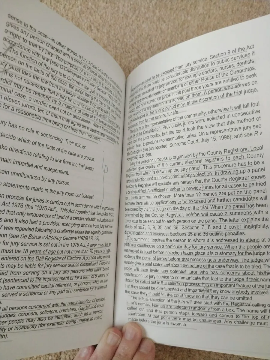 The Irish Legal System Nutshell - Image 2