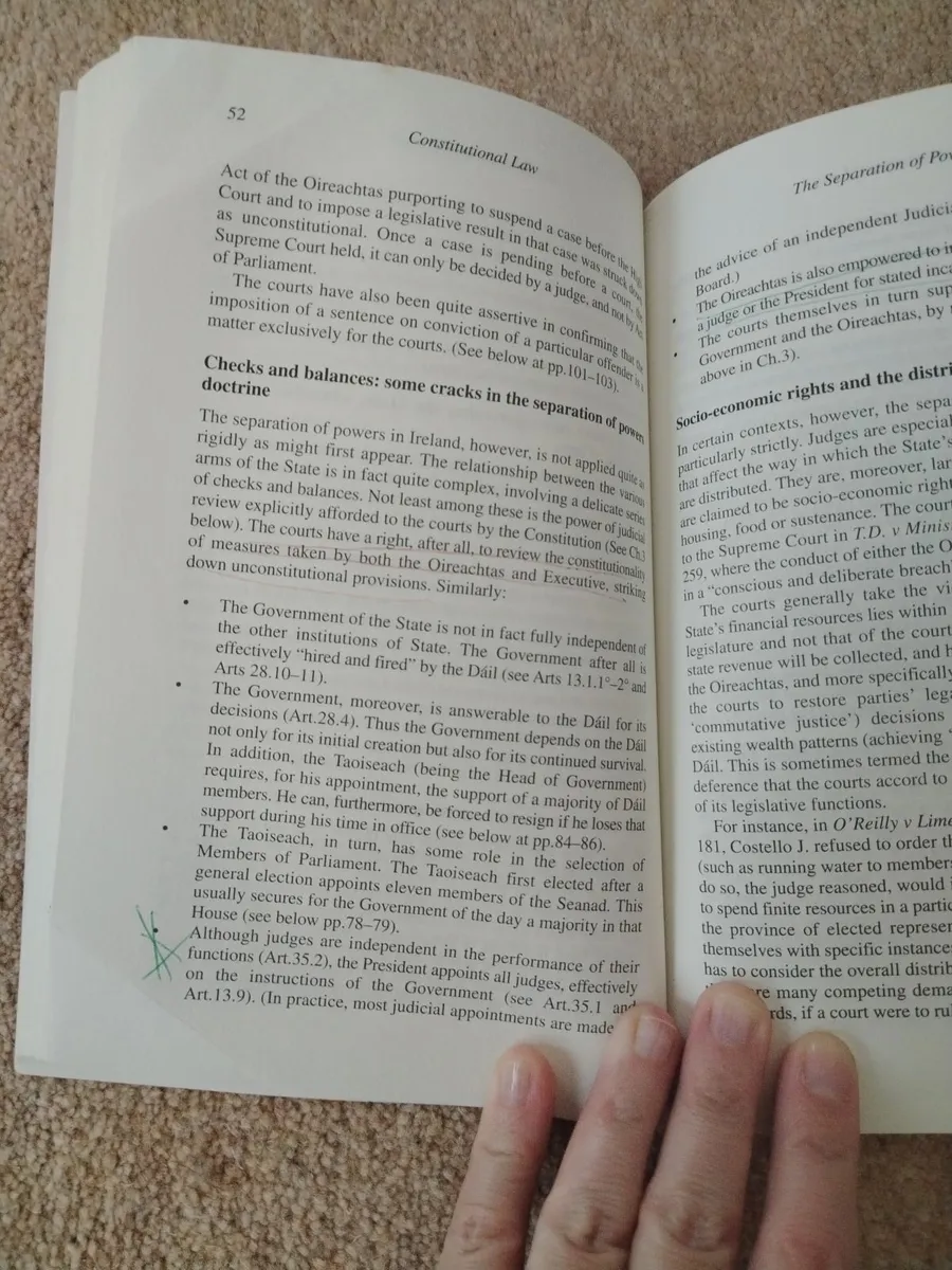 Constitutional Law 2nd edition nutshell - Image 2