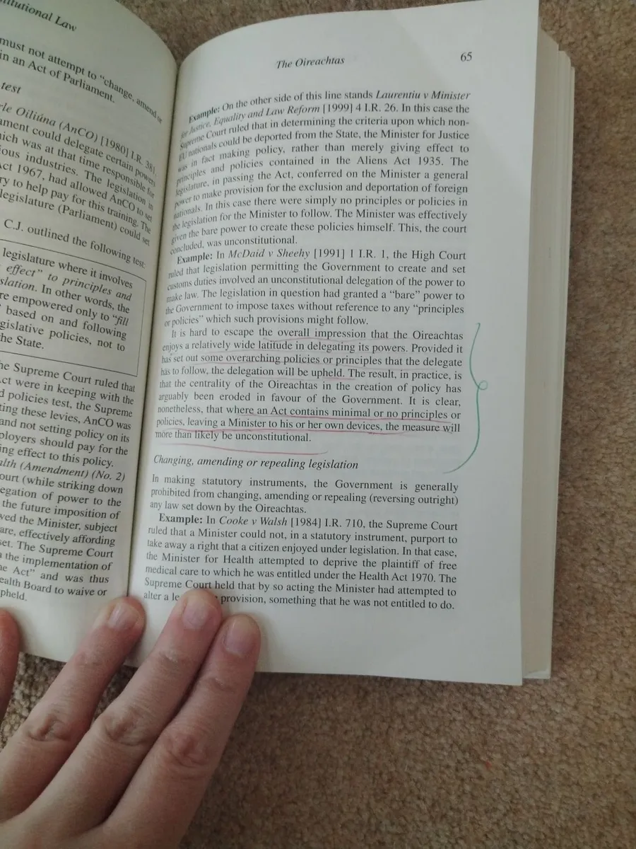 Constitutional Law 2nd edition nutshell - Image 3