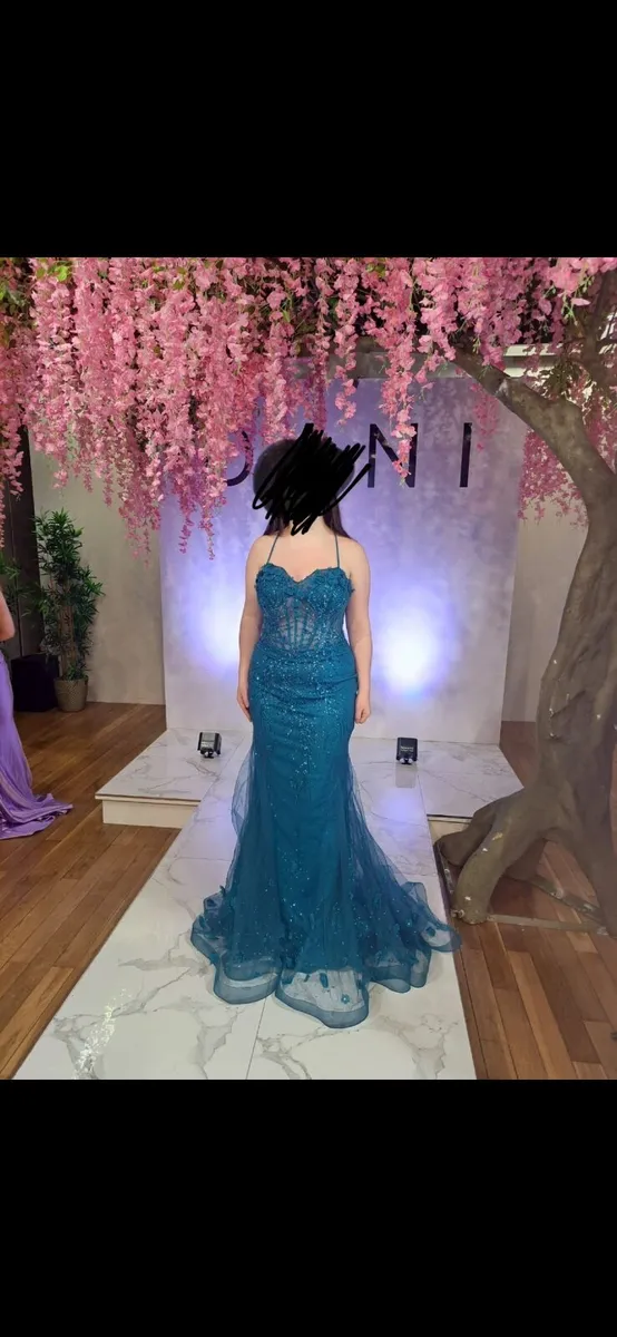 Debs Dress Dani’s Closet - Image 1