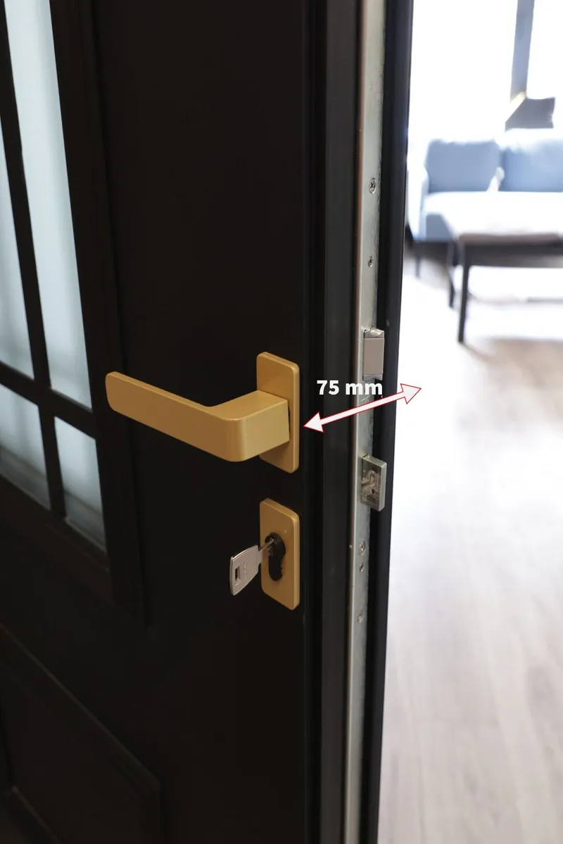 Aluprof Black Aluminium Front Door | Gold Handle - Image 2
