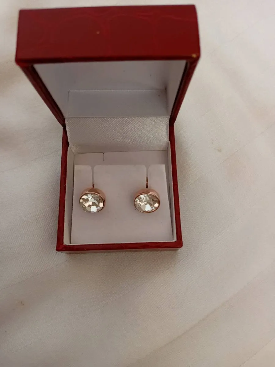Rose gold earings