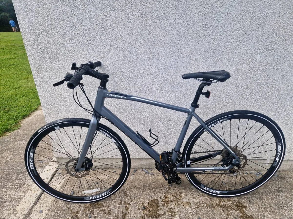 Giant Hybrid - Image 1