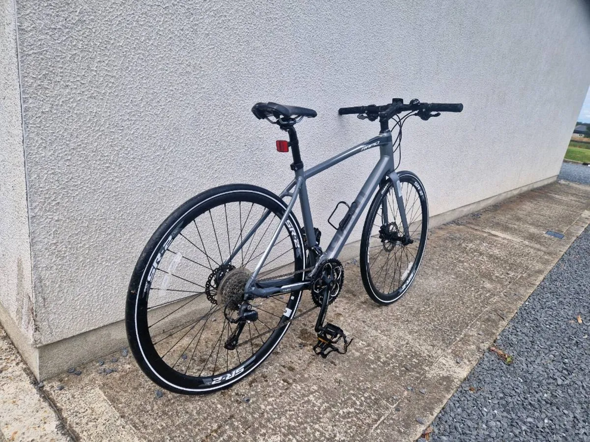 Giant Hybrid - Image 2