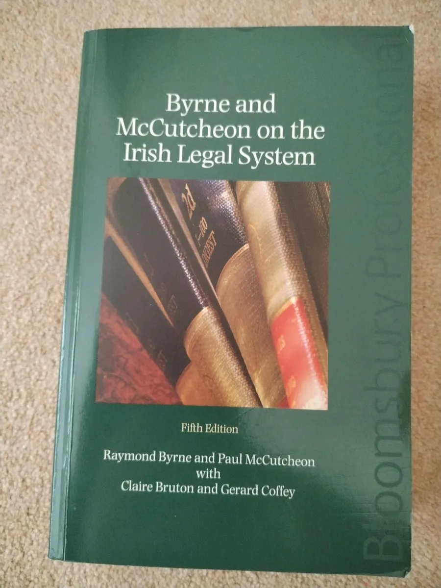 Byrne and McCutcheon on Irish legal system - Image 1