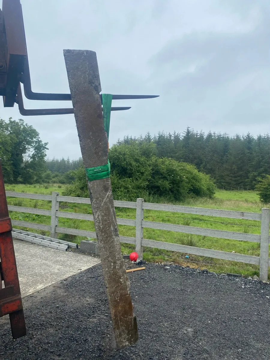 Concrete posts - Image 3