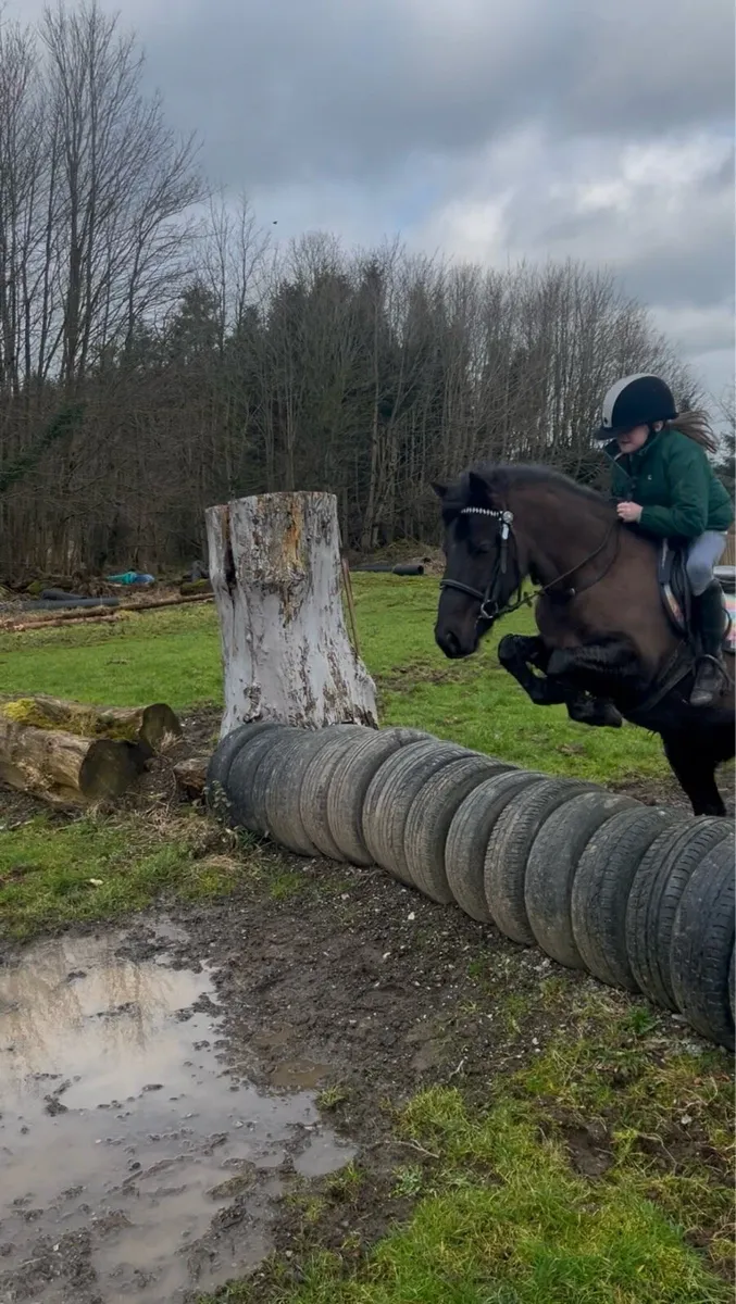 Pony - Image 2