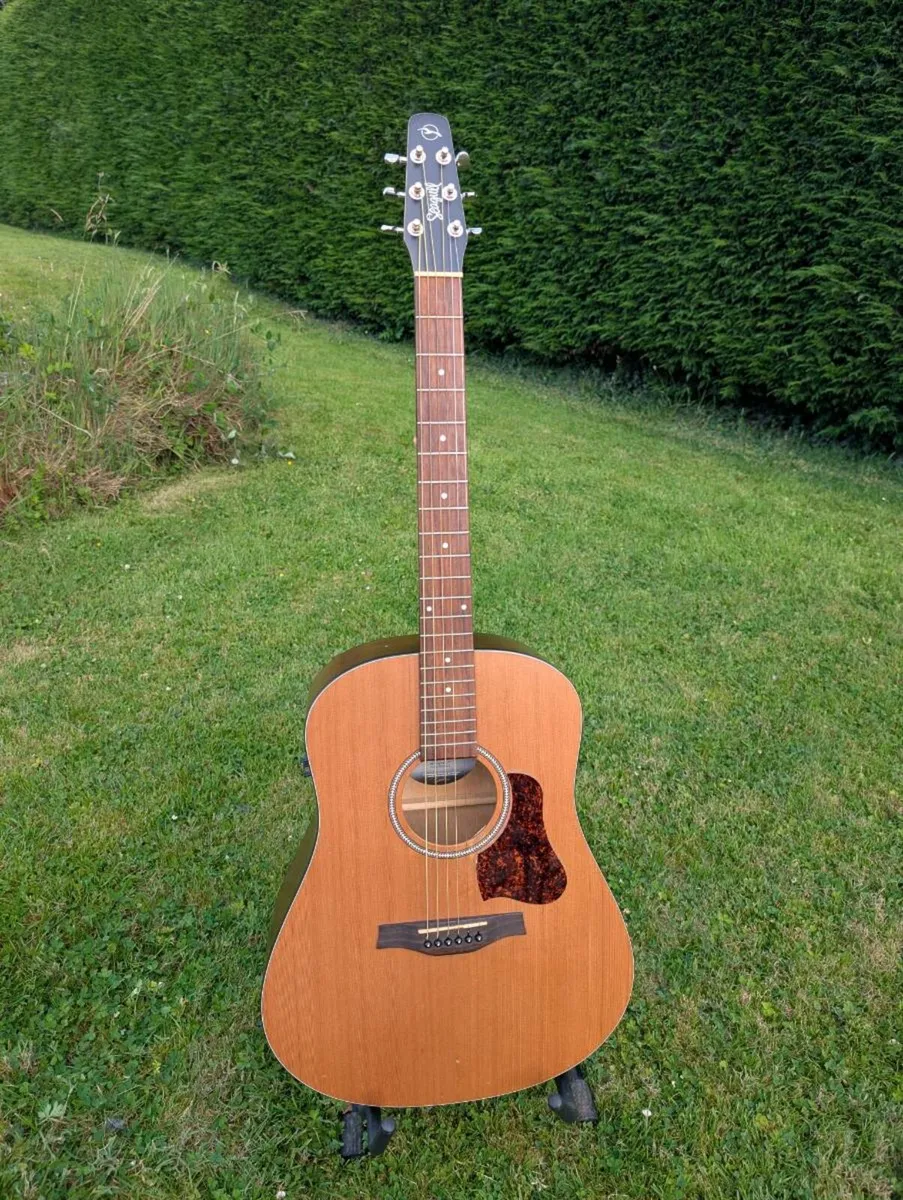 Seagull S6 Eletro-Acoustic Guitar + Hard Case - Image 1
