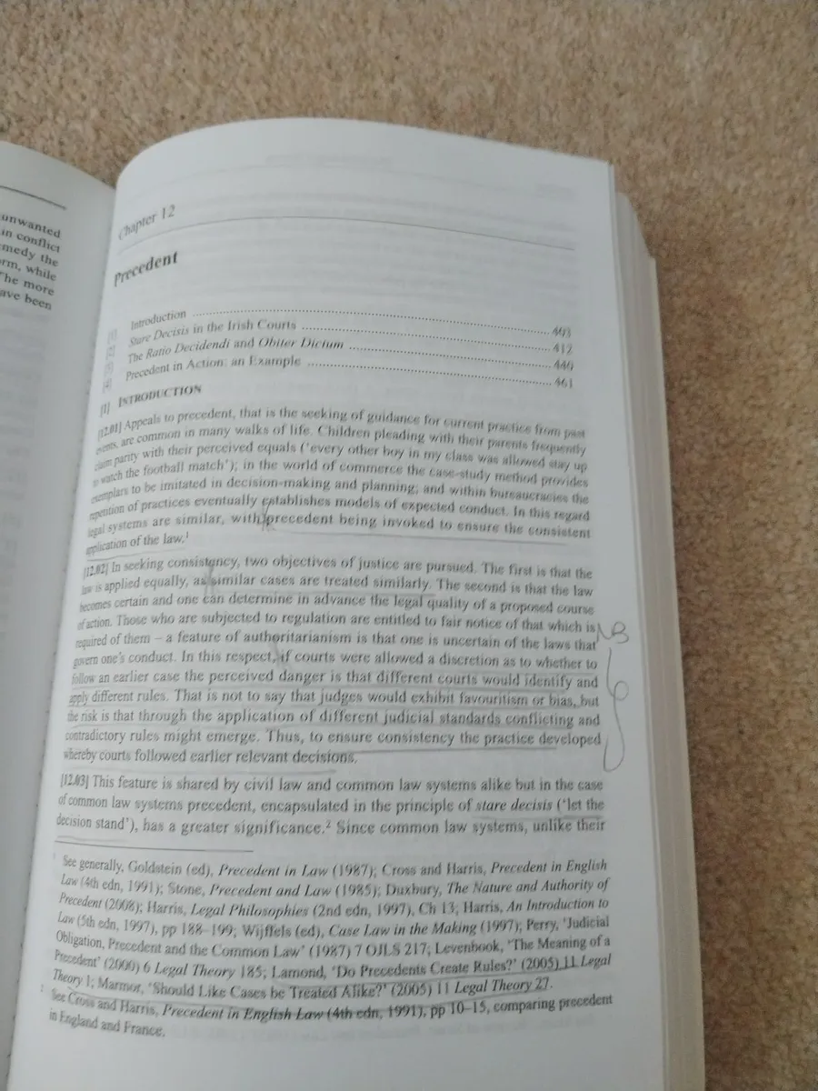 Byrne and McCutcheon on Irish legal system - Image 2