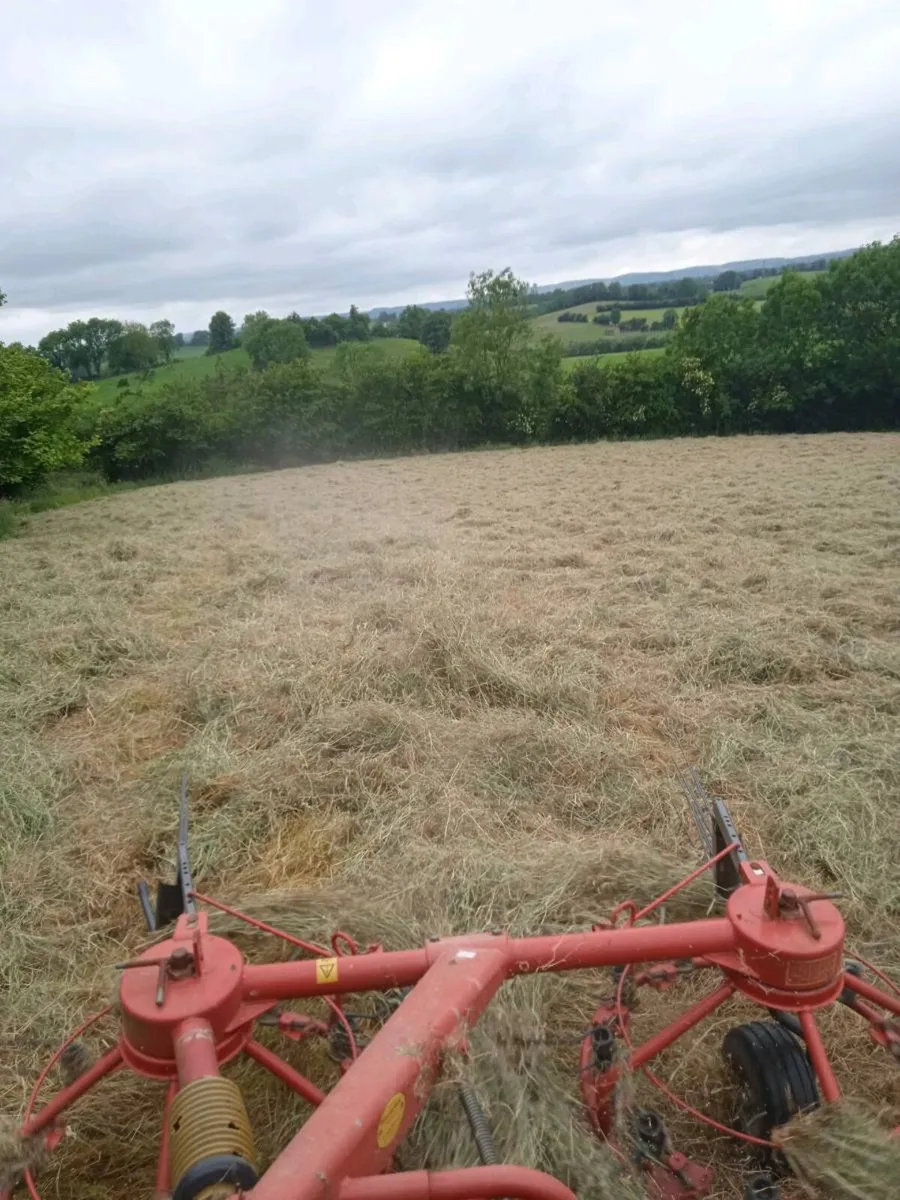 Round bales hay - Image 2