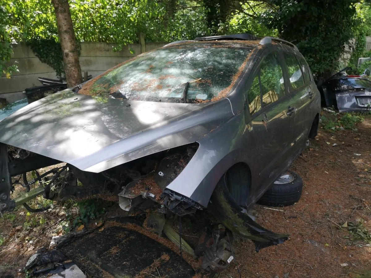 Peugeot 308  1.6 hdi - Image 4