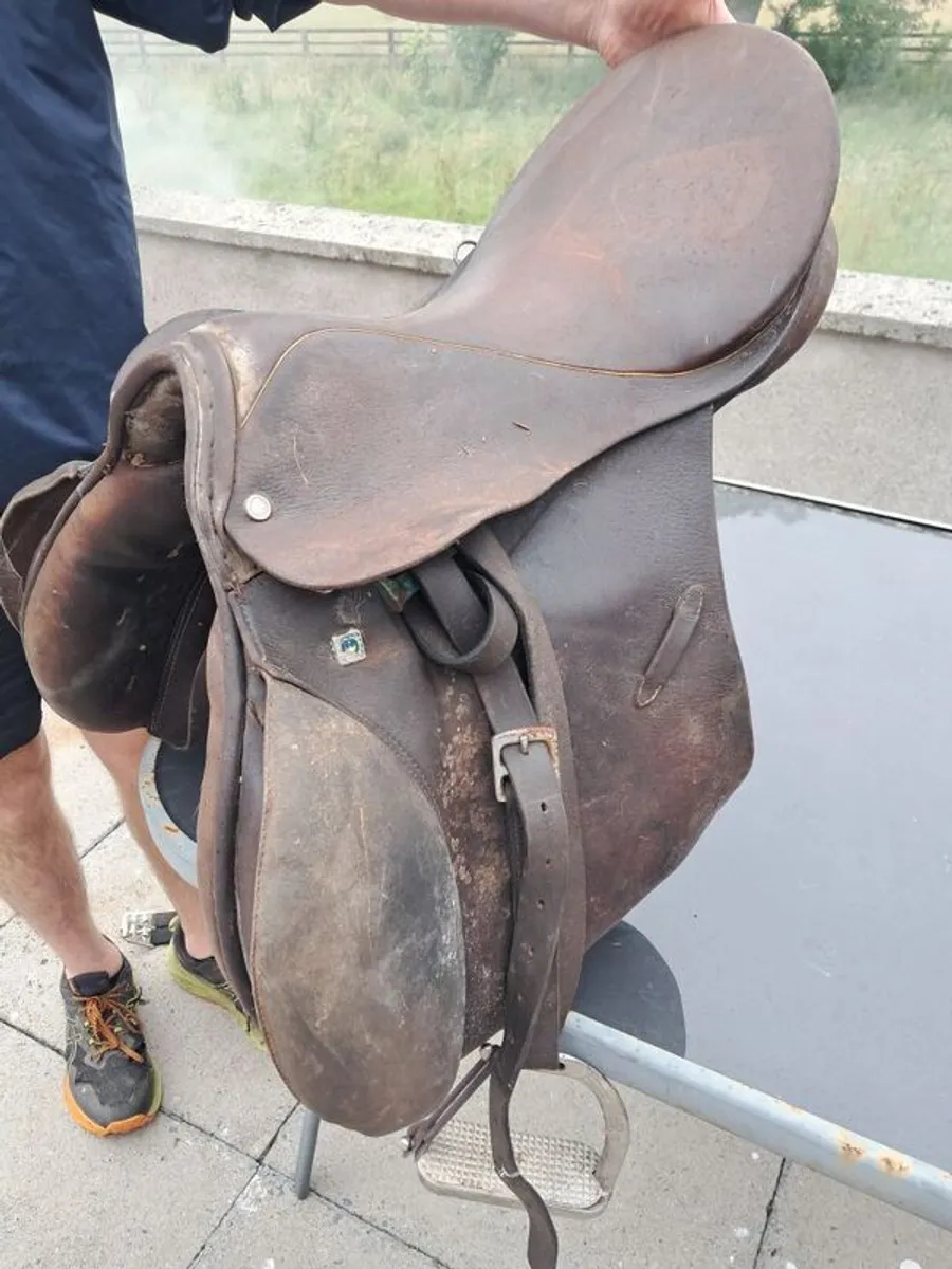 Equestrian Saddles x 6 - Image 3