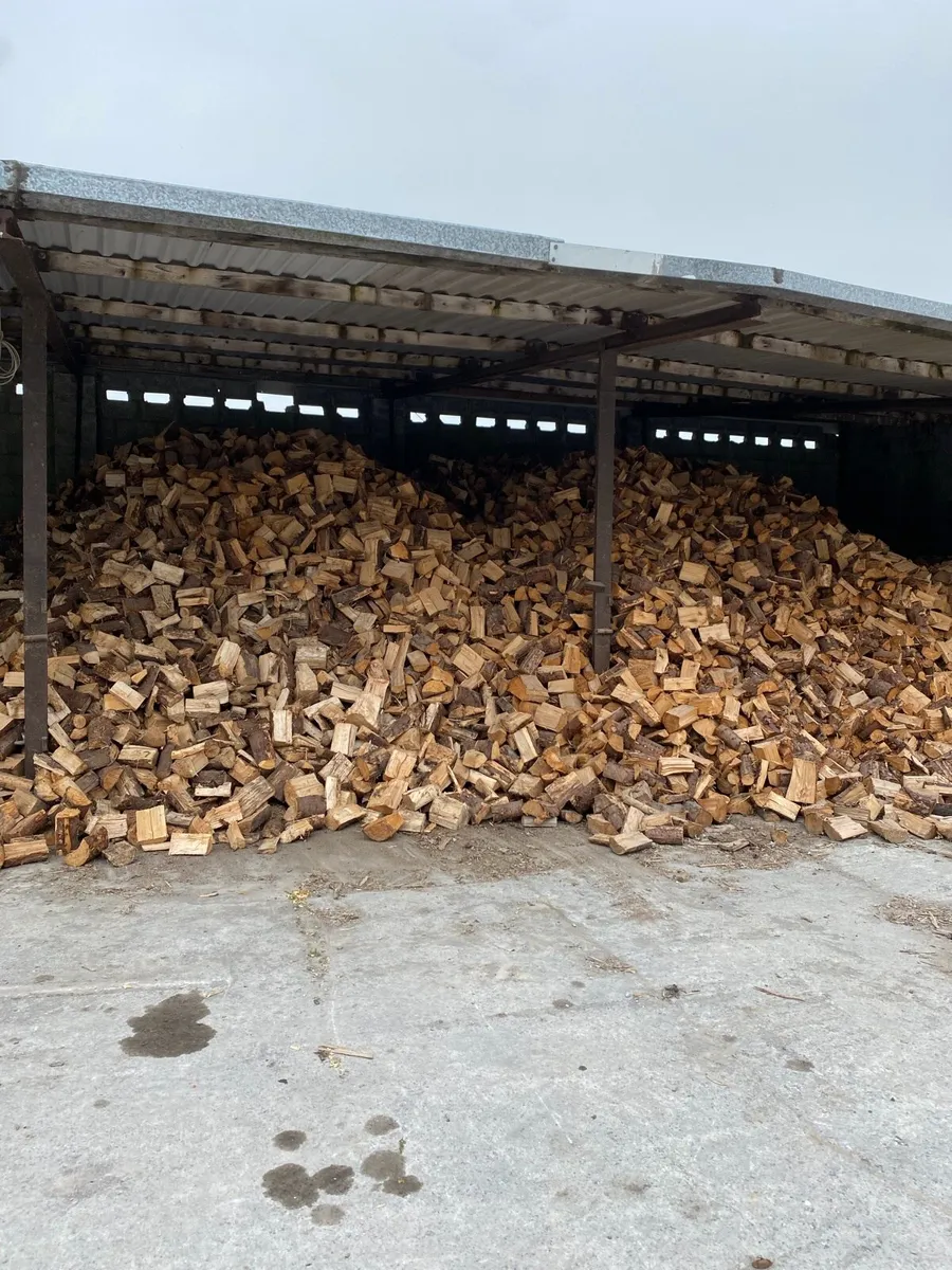 Seasoned Firewood - Image 4