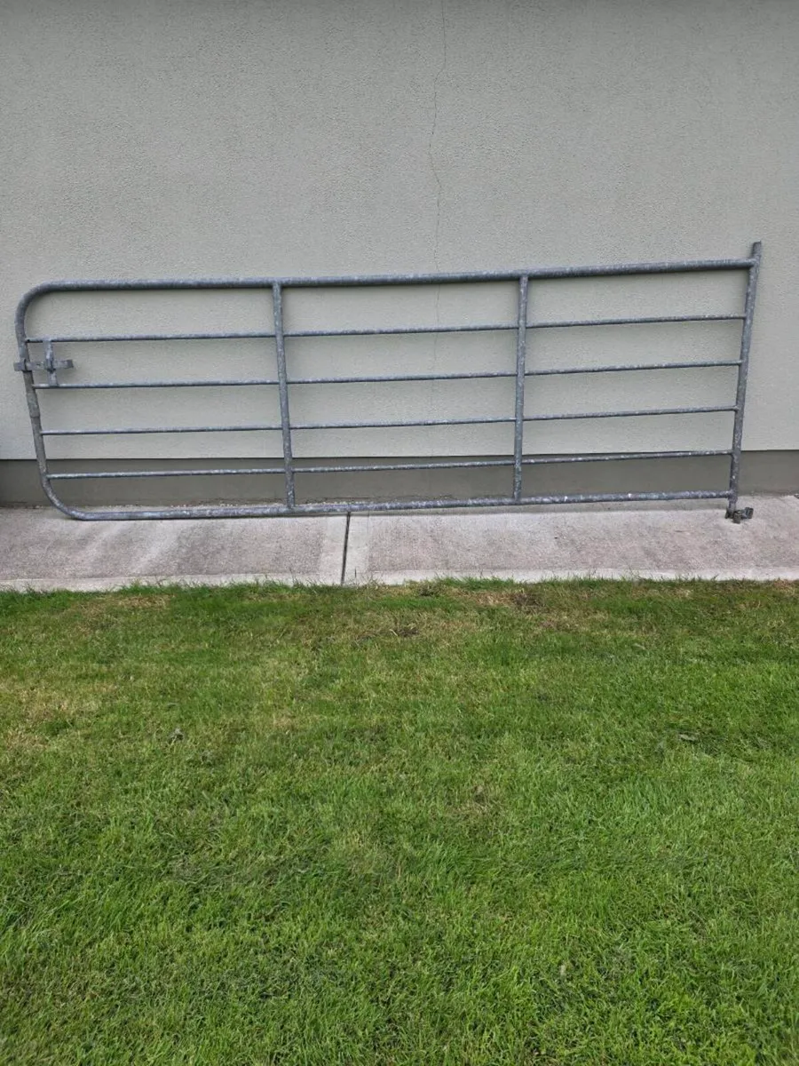 12ft gate - Image 1