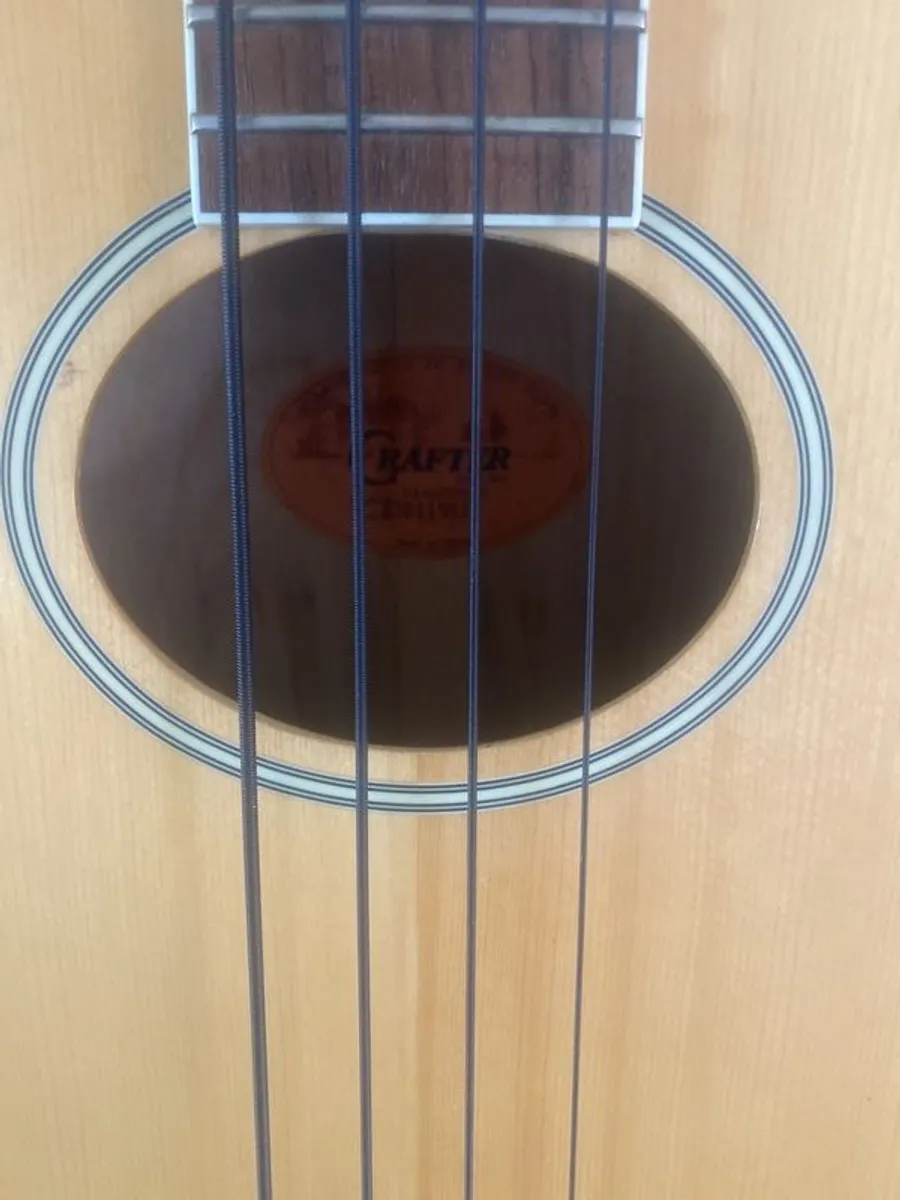 acoustic Bass - Image 2