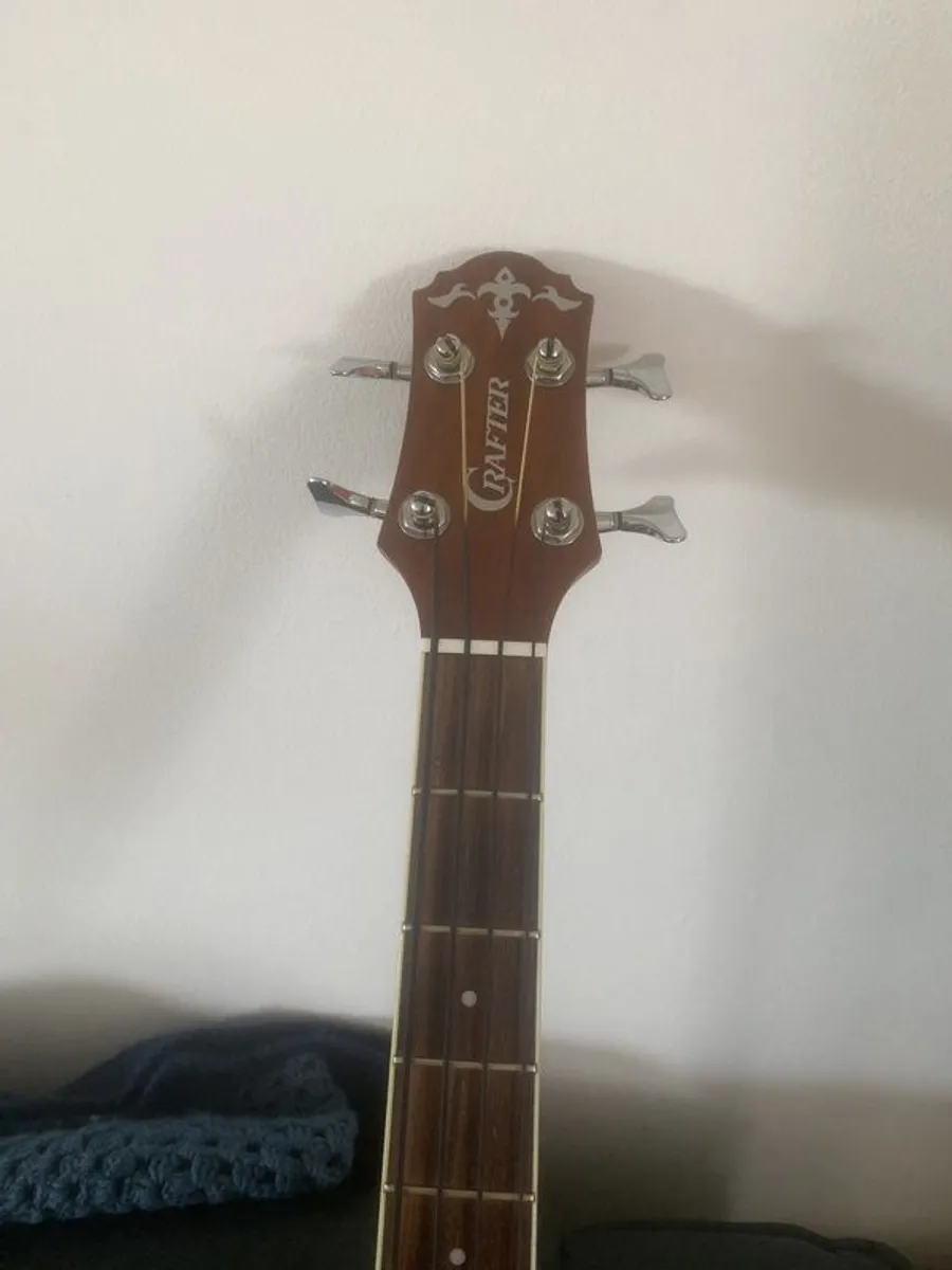 acoustic Bass - Image 3