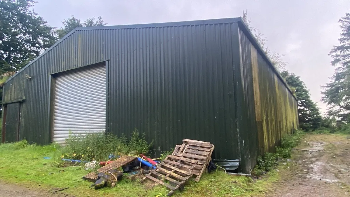 Steel shed 5 bay double with roller door - Image 2