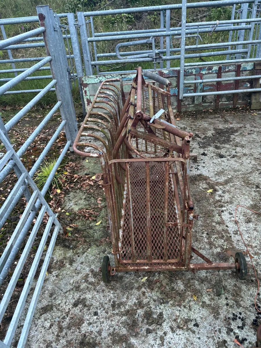 Sheep Turnover Crate - Image 1