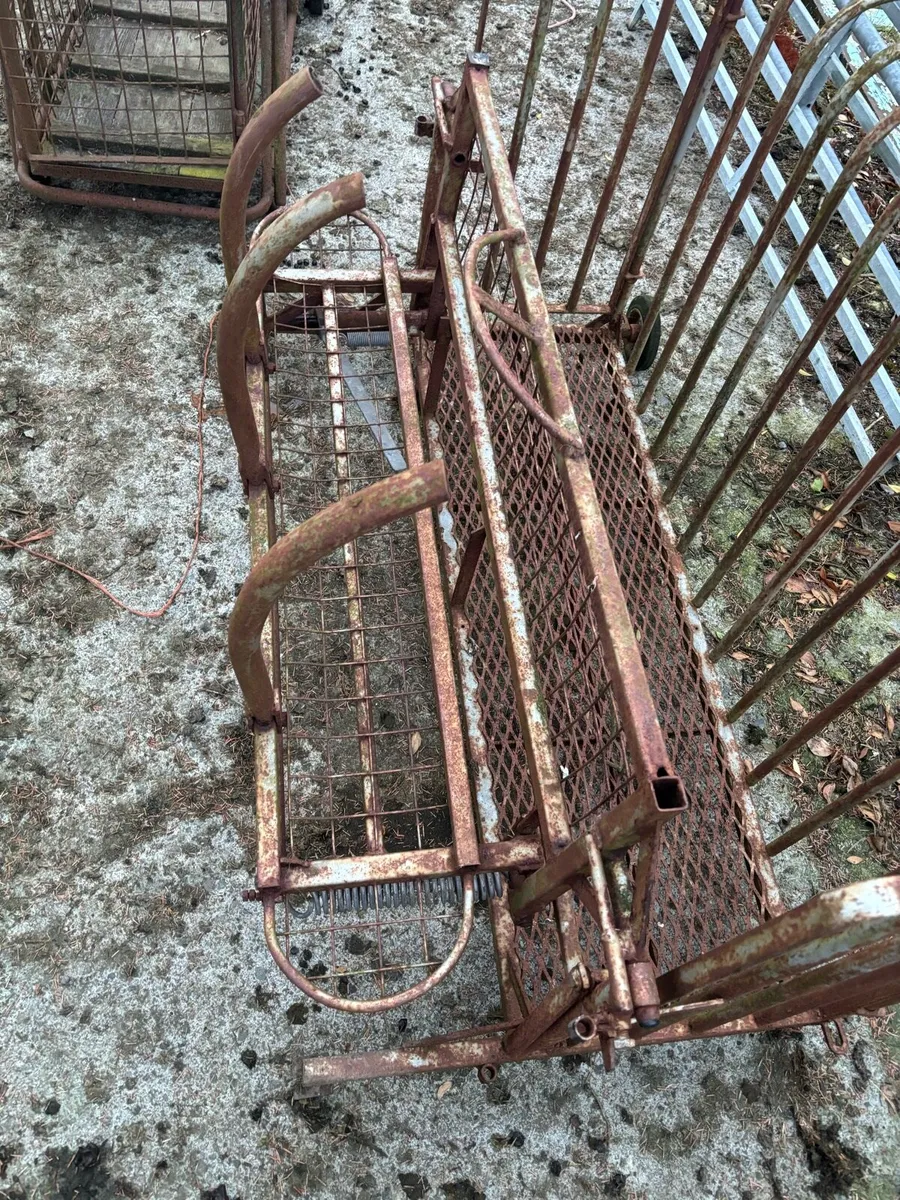 Sheep Turnover Crate - Image 2