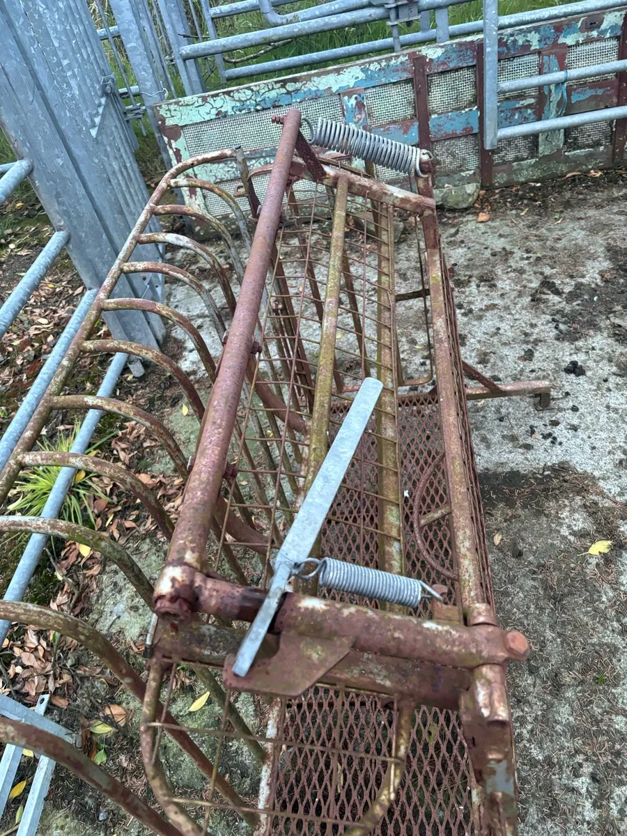 Sheep Turnover Crate - Image 3