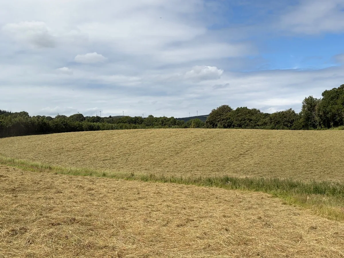 HAY AND HAYLAGE OFF THE FIELD - Image 1