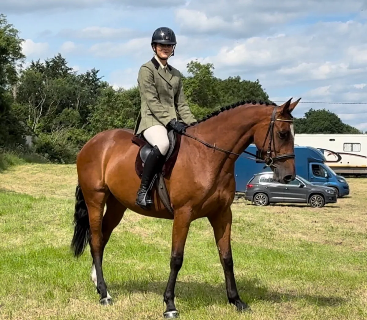 4 year old mare - Image 4