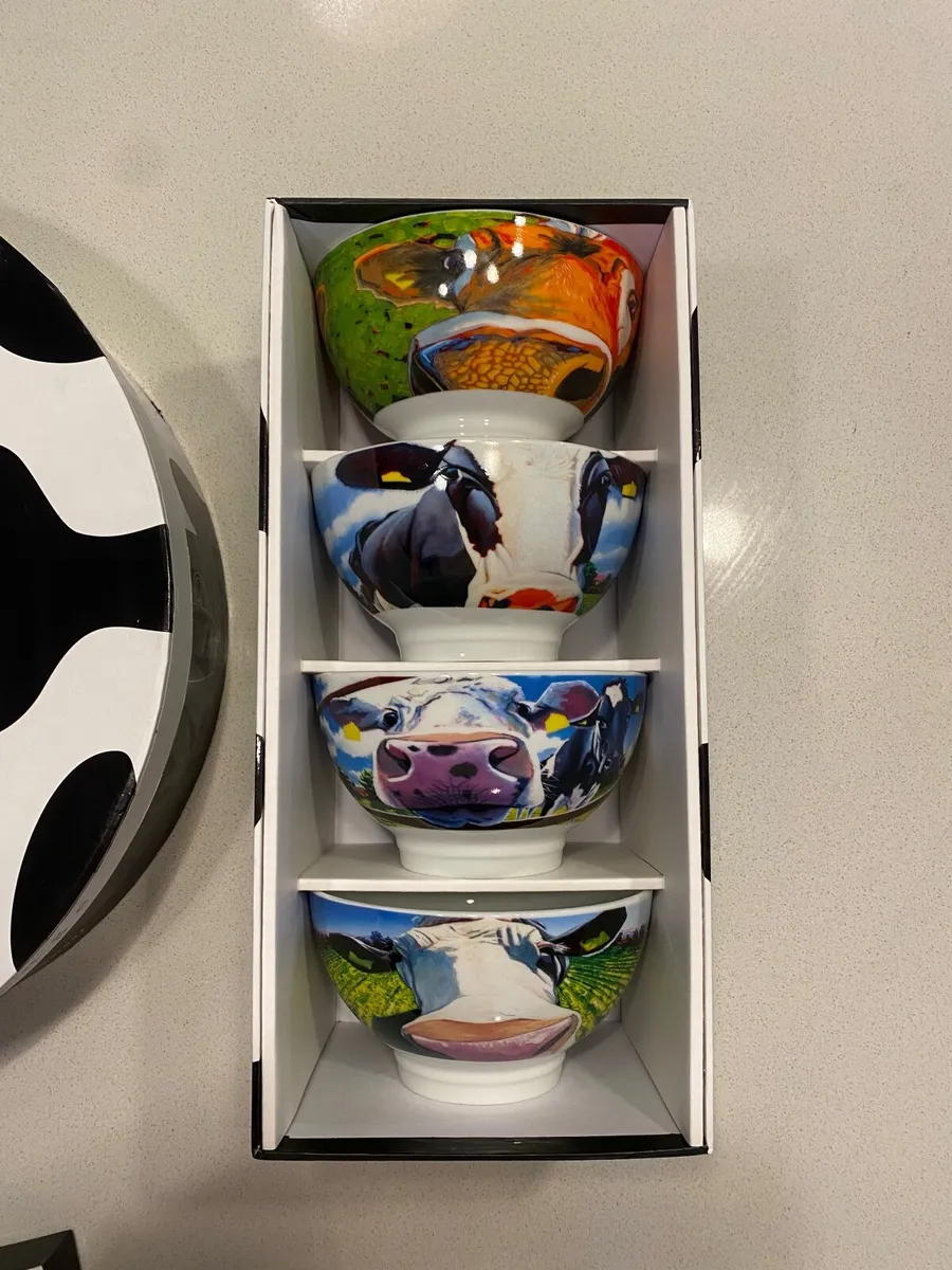 Eoin O'Connor Set - 6 Mugs, 6 Coasters & 4 Bowls - Image 3