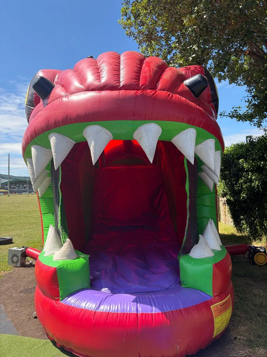 Bouncy castle - Image 1