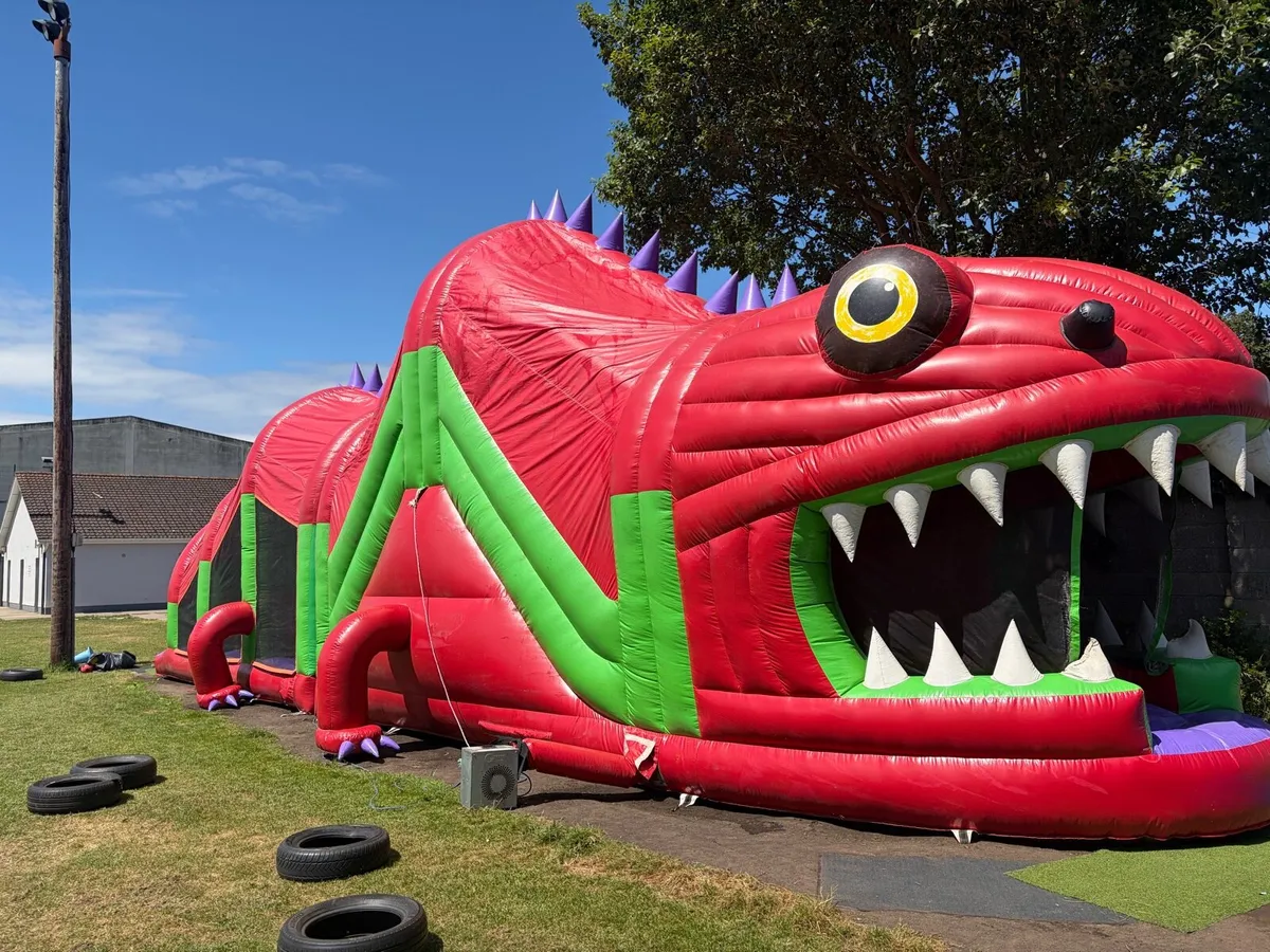 Bouncy castle - Image 3