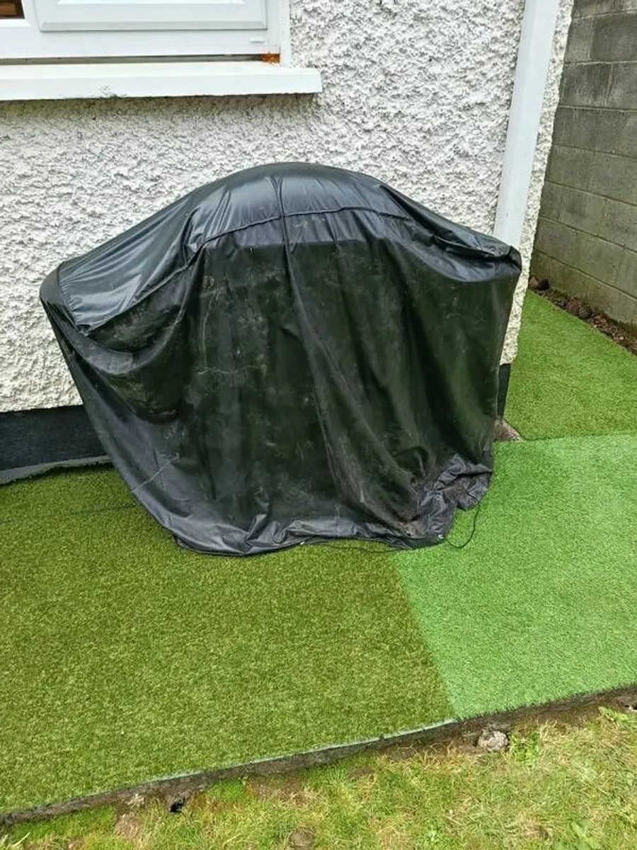 Bbq - Image 3