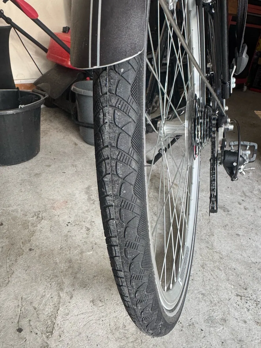 Raleigh Pioneer 2 Bicycle - Image 1