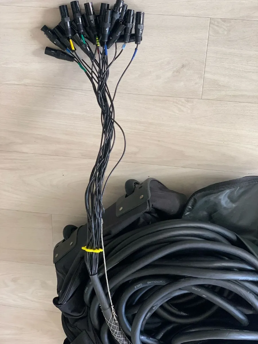 Audio snake - Image 3