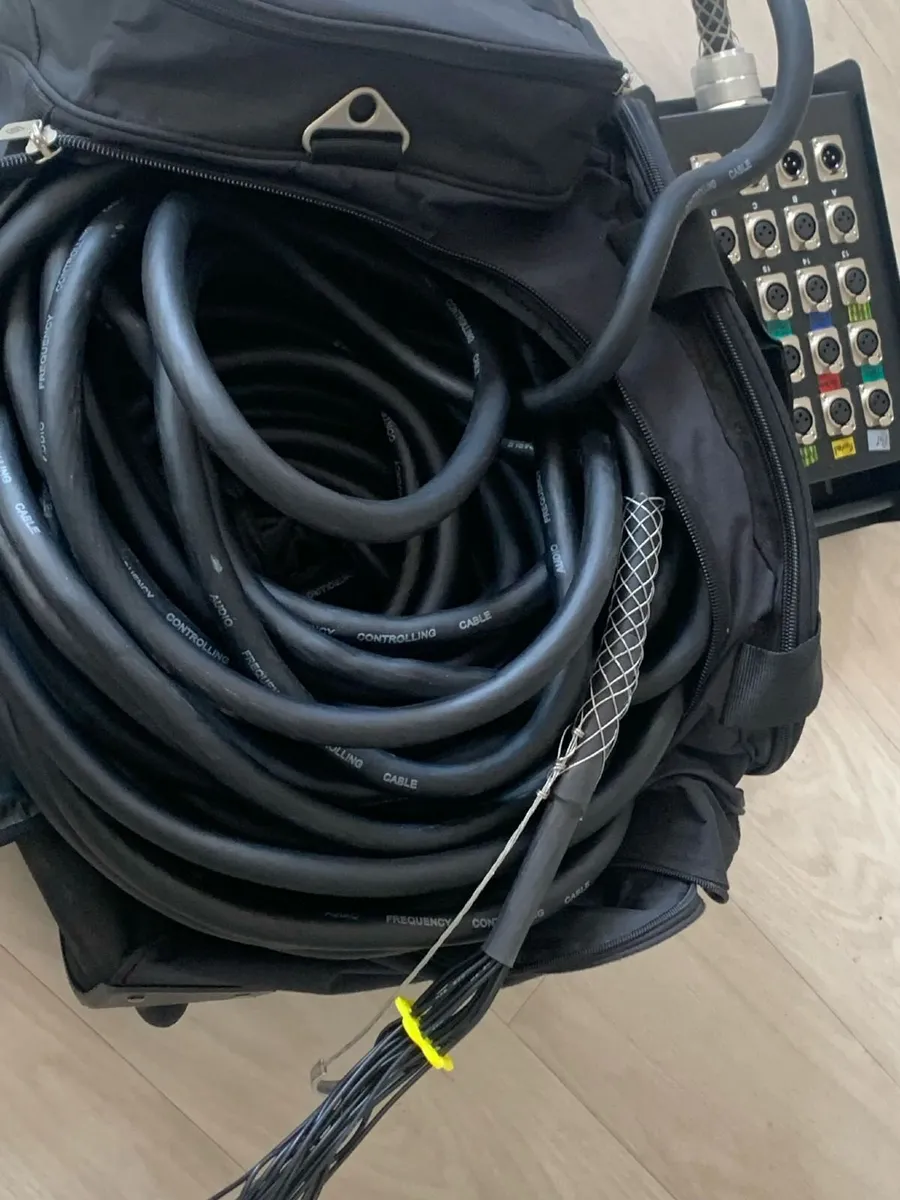 Audio snake - Image 4