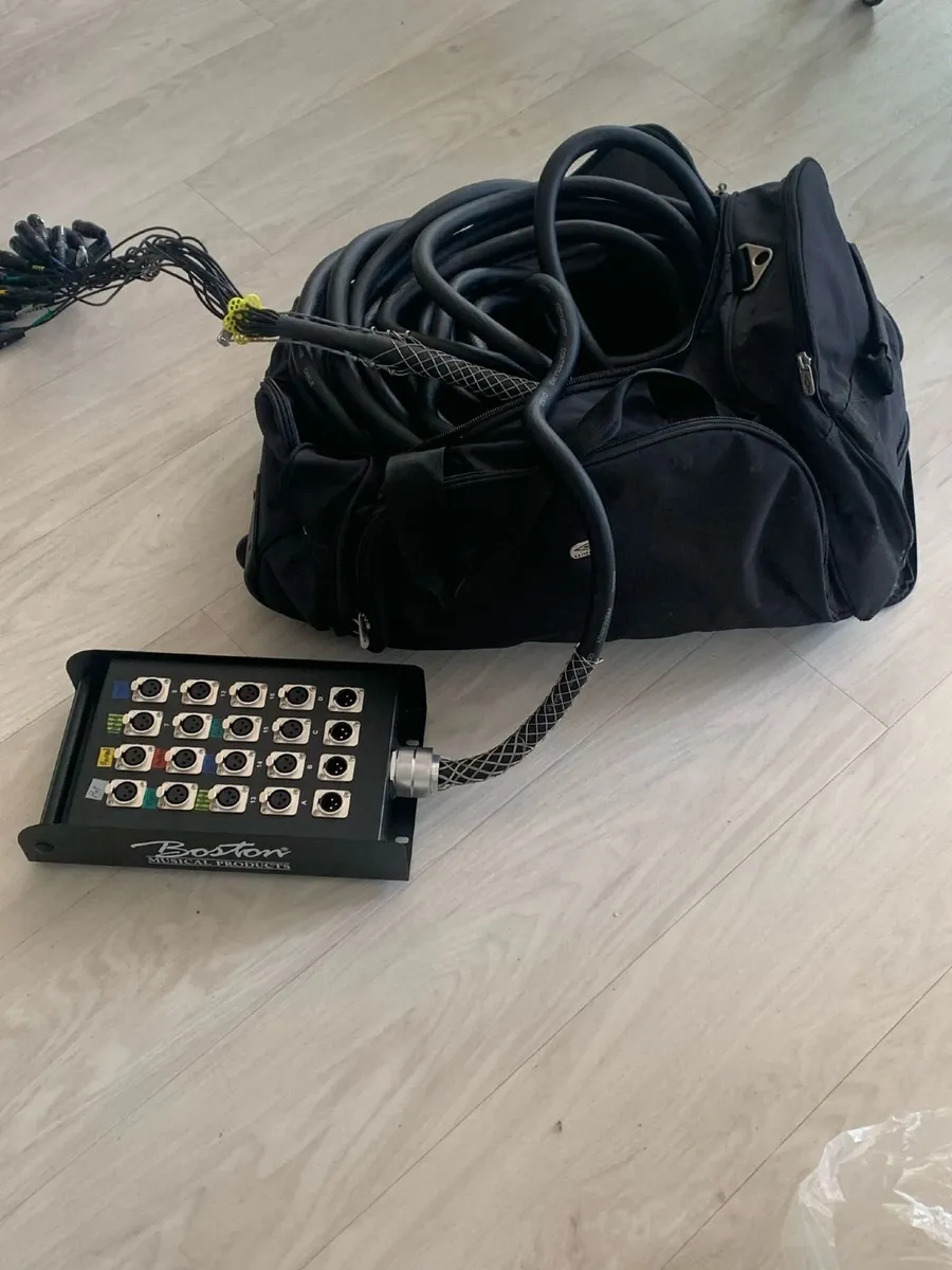 Audio snake - Image 1