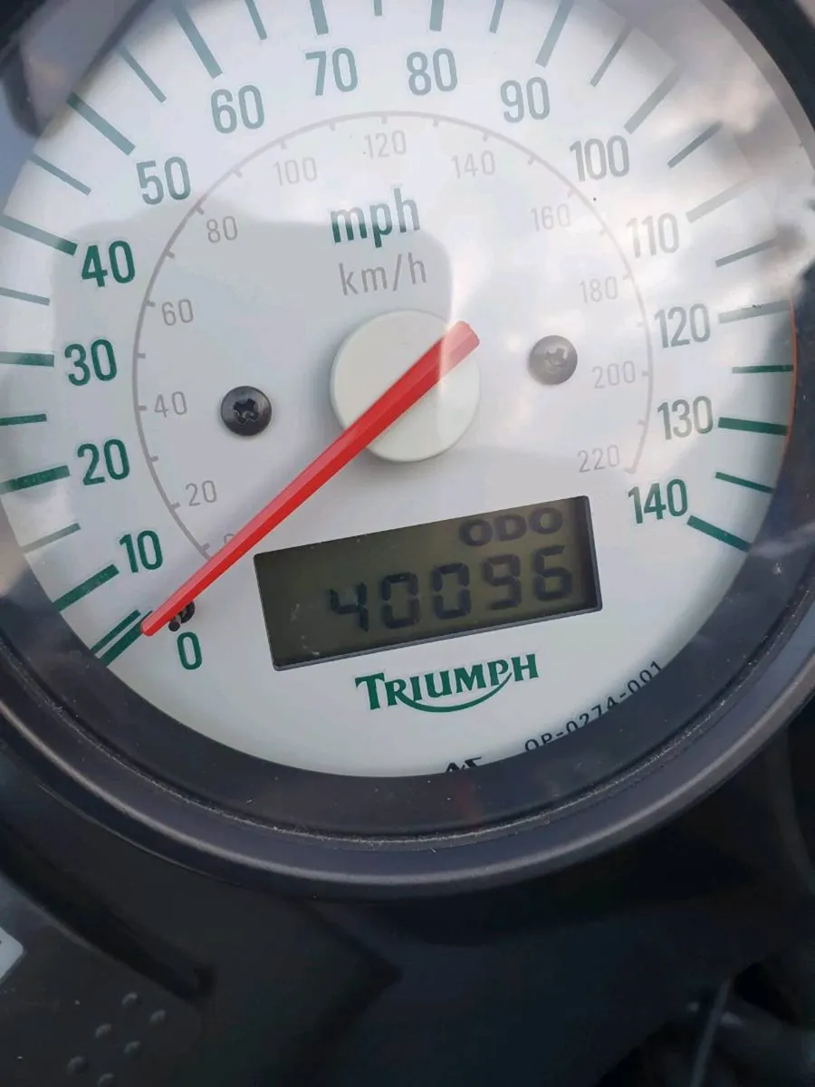 Triumph tiger - Image 3