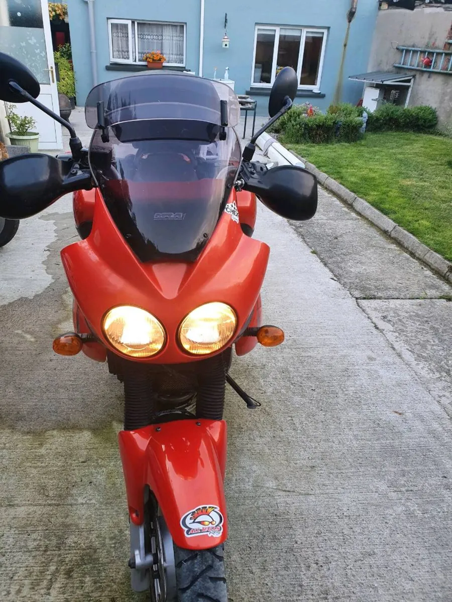 Triumph tiger - Image 2