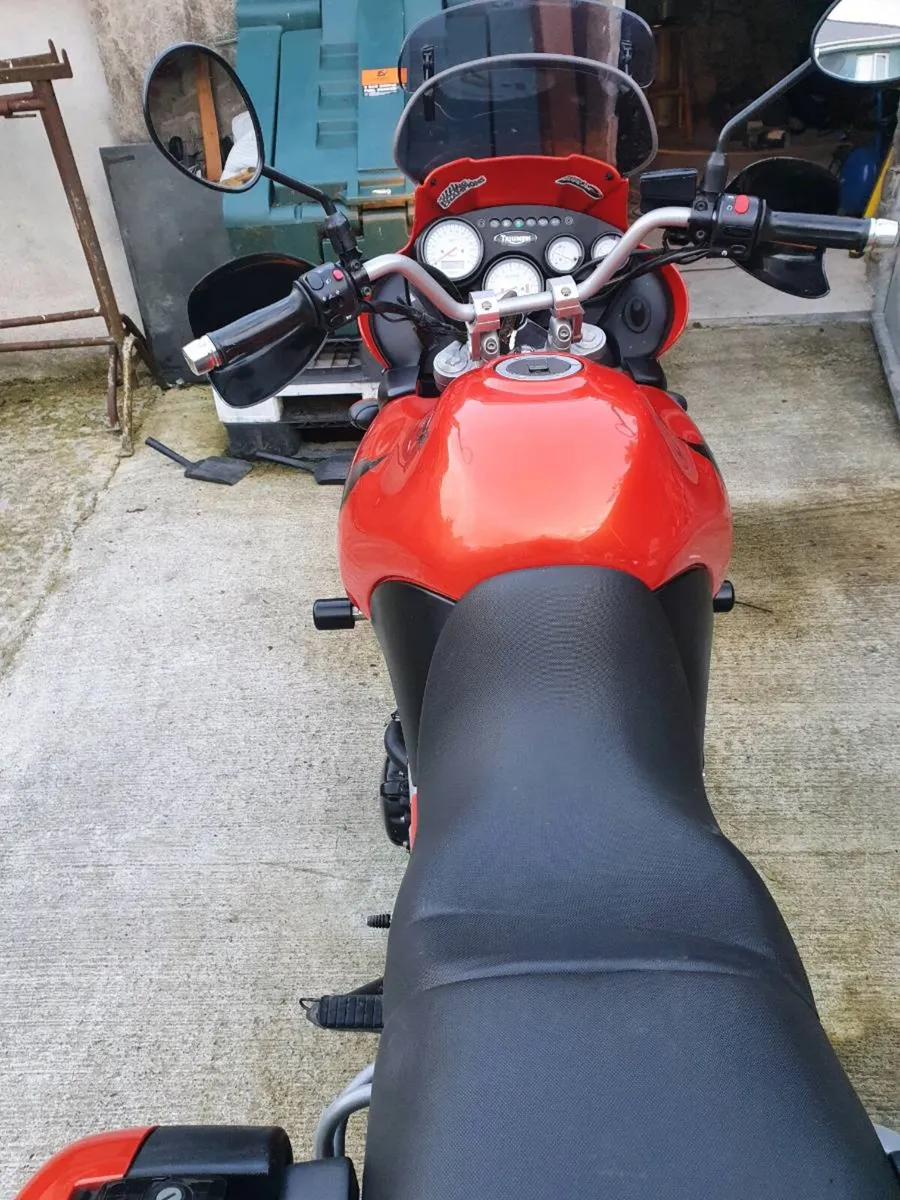 Triumph tiger - Image 4