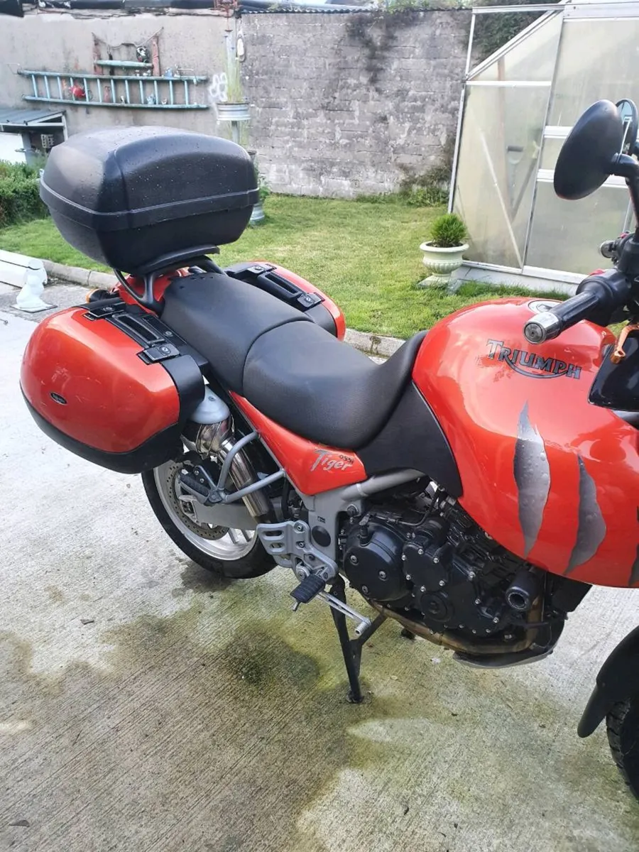 Triumph tiger - Image 1