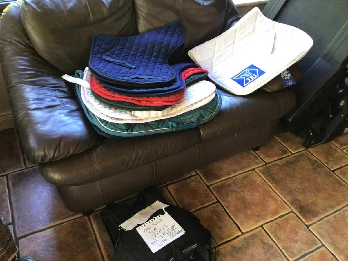 Selection of horse riding gear - Image 2