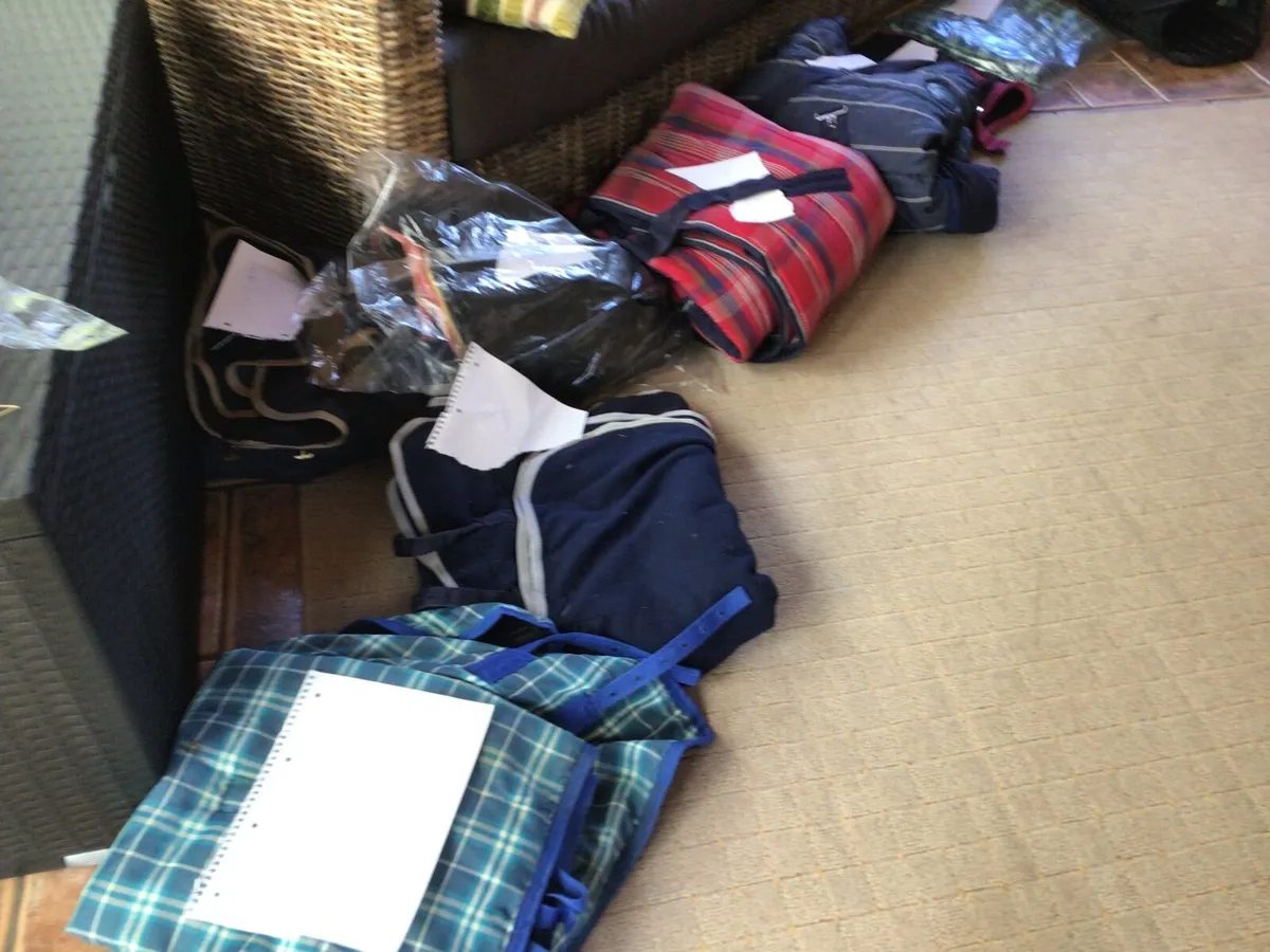Selection of horse riding gear - Image 3