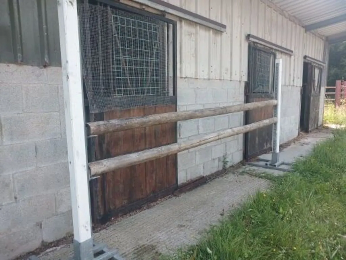 show jumps - Image 1