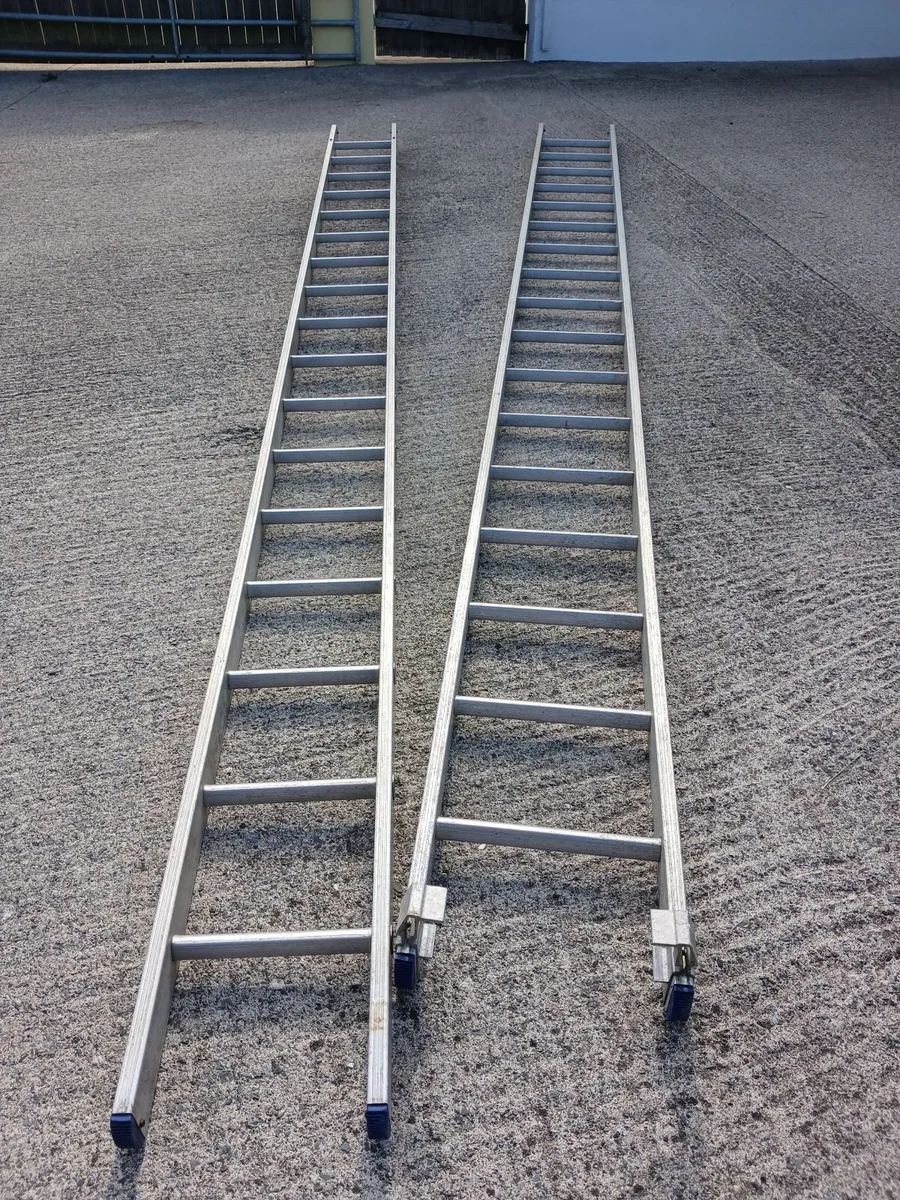 Ladder - Image 4